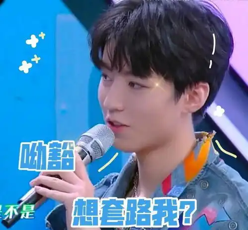 200616王俊凯表情包合集斗图再也不会输