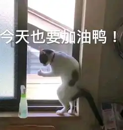 今天也要加油鸭猫咪猫咪加油今天表情
