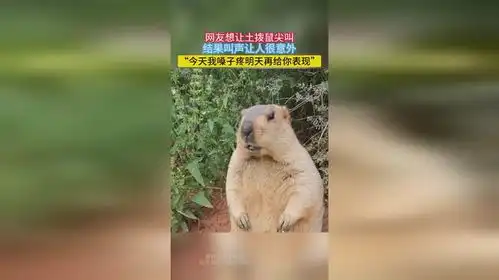 网友想让土拨鼠尖叫,结果叫声让人很意外