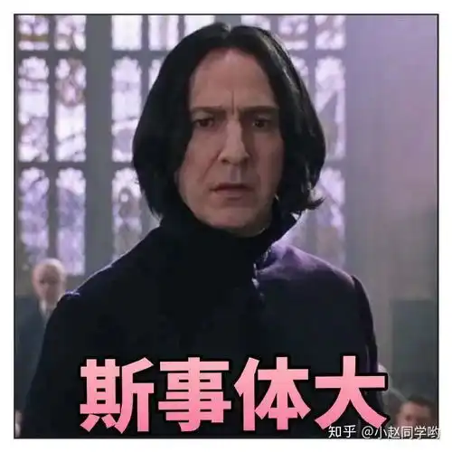 哈哈哈哈利波特表情包斯内普教授小可爱来啦