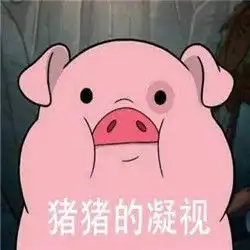 猪猪的凝视摇摇猪表情包