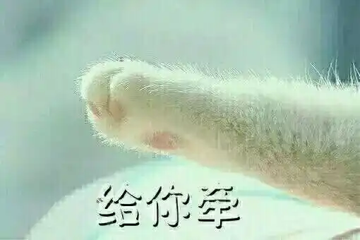 猫咪爪子的表情包