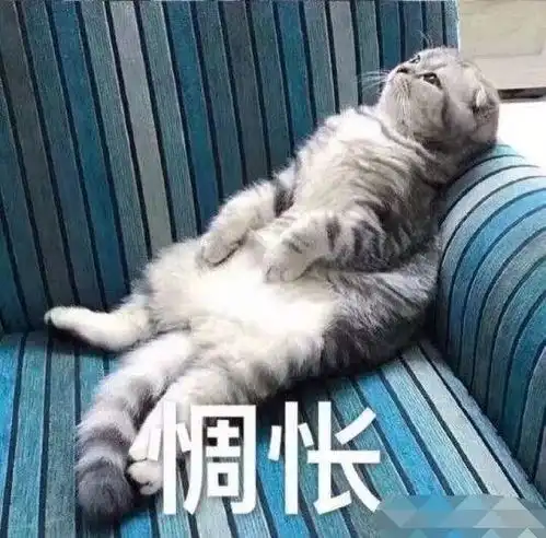 关于秋天的几件小事,希望你能了解
