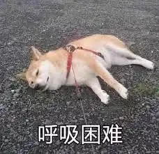 爆笑黄晓明在中餐厅菜单的翻译错误百出,留学生差点要笑晕过去....