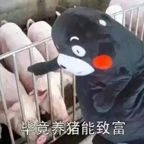 测试一个超长简介的文章