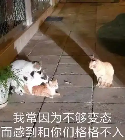 真天生一对小三被姘头捅60多刀仍原谅他,想白头偕老...
