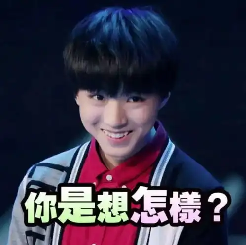 来一波王撩撩的表情包