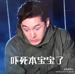 高能神剧盲少爷的小女仆,生命中不能承受之玛丽苏