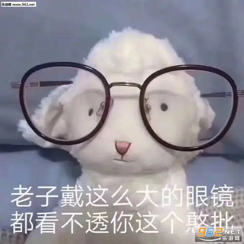 老子带这么大的眼镜都看不透你这个憨批图片这知识他不进脑子表情包下载乐游网游戏下载