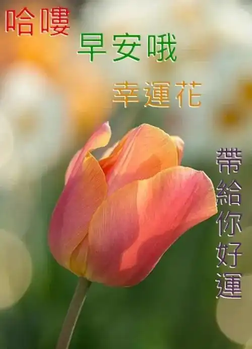 大暑炎热夏天祝福朋友早上好图片表情包大全,三伏天早上好祝福语最新版