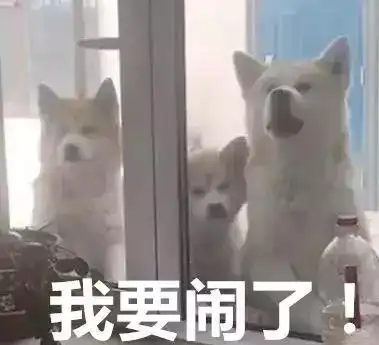 小主人作业太多,气得狗子差点跑去学校找班主任谈心