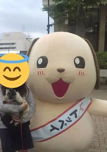 女子抱着狗子跟大玩偶合照,结果它一看到这个大家伙,秒变表情包......