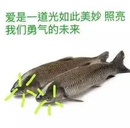 浙江考生做了一篇连作者都不知道答案的阅读理解,心疼