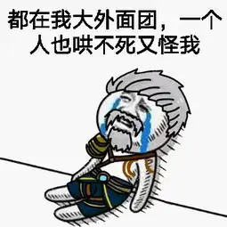 王者荣耀坑b