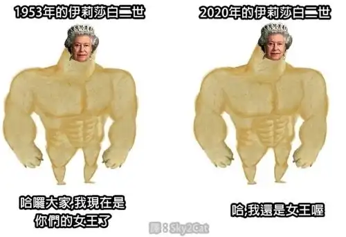 柴犬表情包我们都是小废柴