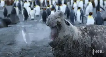 测试一个超长简介的文章