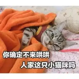 男朋友敢凶你用表情包怼ta臭居居,再凶就捶你小胸口