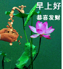 早上好,史上最全的早上好表情图片送给你请查收