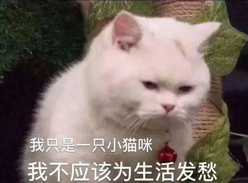 中南财经政法大学的新闻学专业怎么样师资力量如何