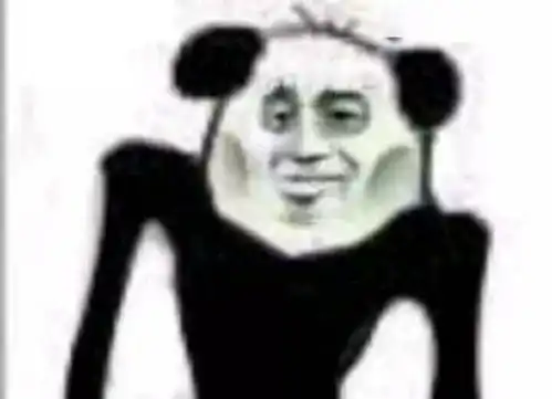 有些人前面风趣幽默,实际上背面看已经要秃顶