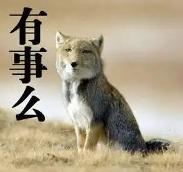 方脸的藏狐贪吃的土拨鼠高冷的雪豹快来了解一下它们吧
