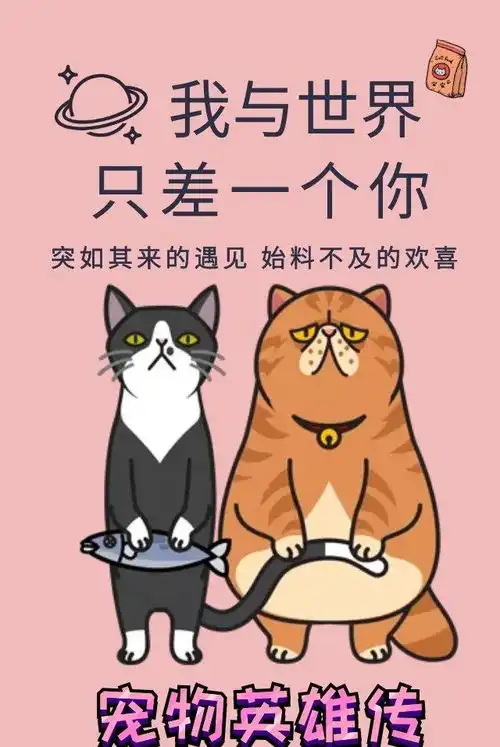 猫咪的神奇动作和表情,简直萌到犯规,铲屎官赶紧抱抱它们