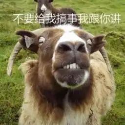 老被说像小吴,王一博这回真生气了