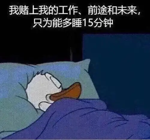 表情包丨姐姐钓我