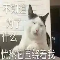 忧愁它围绕着我表情包微信头像图片大全