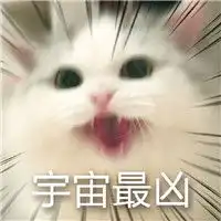 超凶比你还凶的表情包猫咪超凶表情包