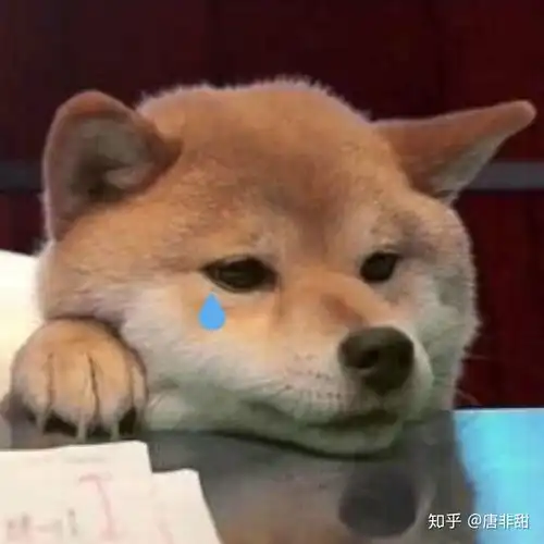 我被网恋对象甩了怎么办