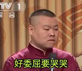 孙红雷只发一张图,小岳岳的表情包就鱼贯而出