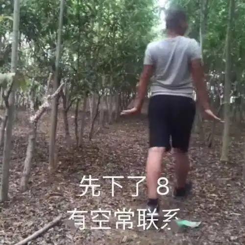 今日份搞笑表情包请接收哈哈哈...