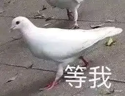 测试一个超长简介的文章