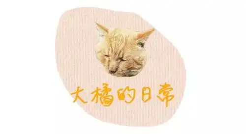 表情橘猫界的李荣浩假鞋鉴定专家狗,这所大学的校宠太有趣了吧表情