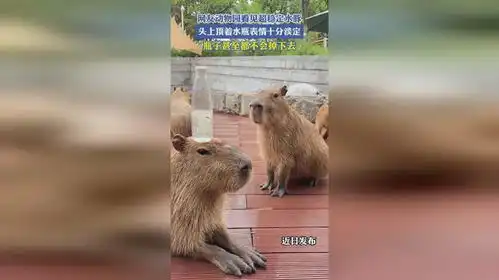测试一个超长简介的文章