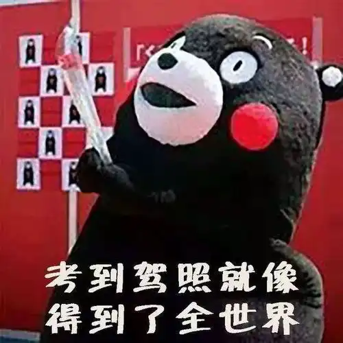 奎屯哪个驾校值得推荐学车的都看看