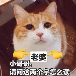 2018强迫症头像猫咪呆萌搞笑带字头像没结果的事不值得开始