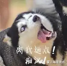 答字搞笑表情二哈