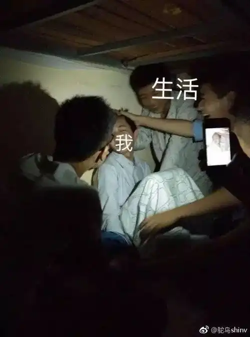 我把领导p成表情包,然后不小心发到了工作群,我会不会死