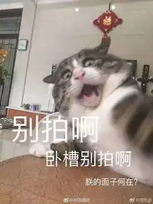 搞笑裸照表情包主人