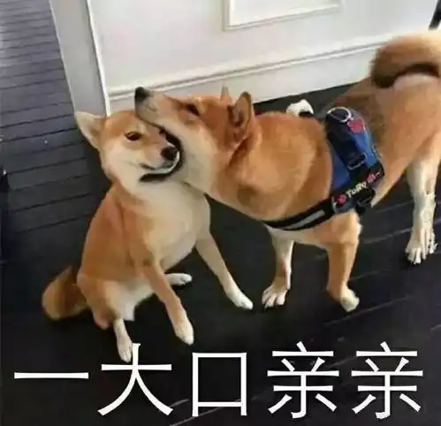 加油表情包搞笑抱抱