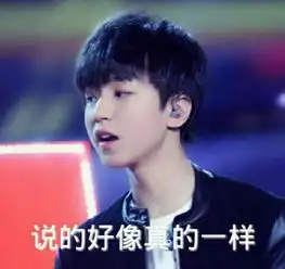 求tfboys的表情包,就是图片带字的那种