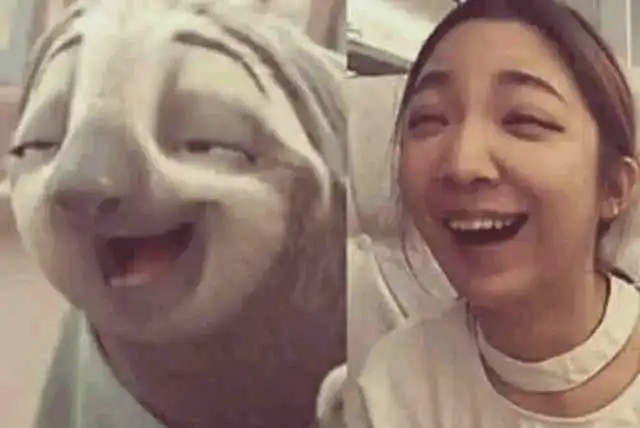 明星和动物撞脸,热巴李易峰上榜,最后一张越看越欢乐