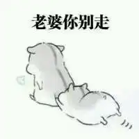 小松鼠老婆表情包