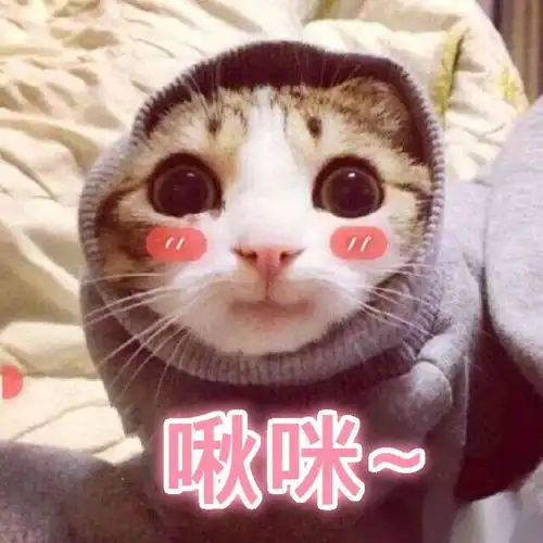 测试一个超长简介的文章