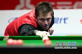 丁俊晖62艾伦晋级决赛艾伦目光犀利
