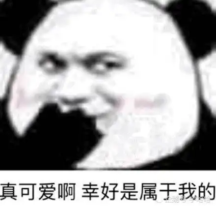 专业土味情话撩不到你算我输