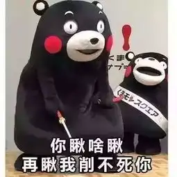 东北人没你想的这么简单