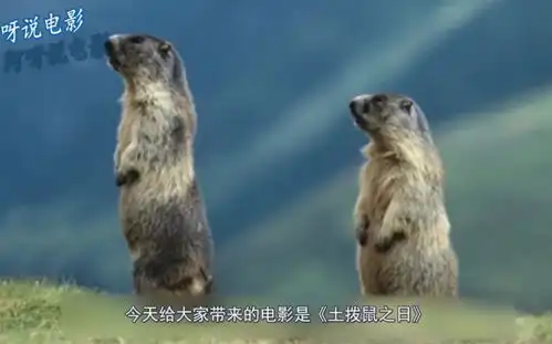 表情带你4分钟看完搞笑电影土拨鼠之日哔哩哔哩干杯bilibili表情